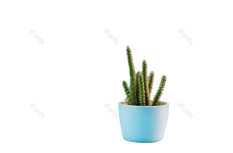 叶子图片,装饰元素,纹理PNG,现代免抠素材